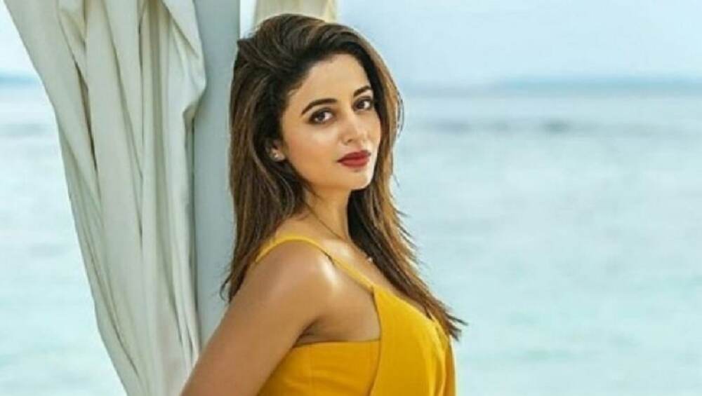 बिग बॉस 12 : इतकी होती नेहा पेंडसेची पहिली कमाई ! बिग बॉस 12 : इतकी होती नेहा पेंडसेची पहिली कमाई !