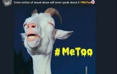 सोशल मीडीयावर #MeToo मिम्सचा पाऊस  !