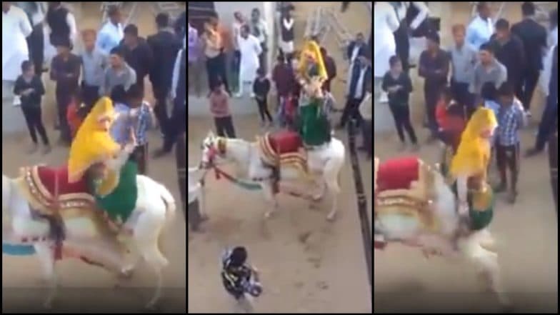 घोड्याला नाही आवडला महिलेचा अचरट डान्स; दिली शिक्षा, घडली जन्माची अद्दल (व्हिडिओ) घोड्याला नाही आवडला महिलेचा अचरट डान्स; दिली शिक्षा, घडली जन्माची अद्दल (व्हिडिओ)