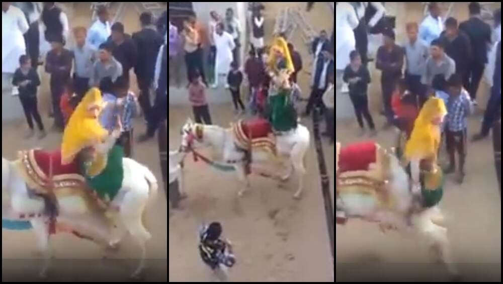 घोड्याला नाही आवडला महिलेचा अचरट डान्स; दिली शिक्षा, घडली जन्माची अद्दल (व्हिडिओ) घोड्याला नाही आवडला महिलेचा अचरट डान्स; दिली शिक्षा, घडली जन्माची अद्दल (व्हिडिओ)