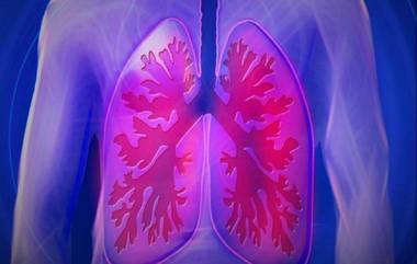 Lung Cancer Awareness Month : फळे, भाज्या खा ; फुफ्फुसाच्या कॅन्सरचा धोका टाळा