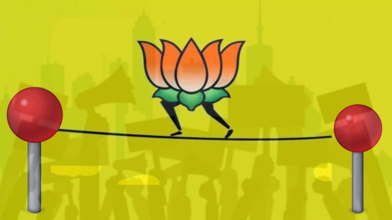 'हे बघ भाऊ! तुला मत द्यायचे असेल तर दे, नाहीतर नको'; विकासाच्या मुद्द्यावर भाजप आमदाराची भंबेरी (व्हिडिओ)