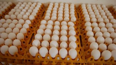 Eggs Increased In Mumbai: मुंबईत अंड्यांची किंमत वाढली, भाव 500 रुपयांवर पोहोचला
