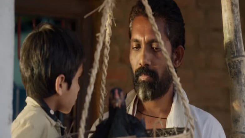 Naal Marathi Movie: 'नाळ' सिनेमाचा पहिल्याच आठवड्यात कमाईचा विक्रम! Naal Marathi Movie: 'नाळ' सिनेमाचा पहिल्याच आठवड्यात कमाईचा विक्रम!