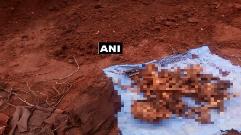 प्लॉट खोदताना आढळला मानवी सांगाडा, मजूरांची पळापळ