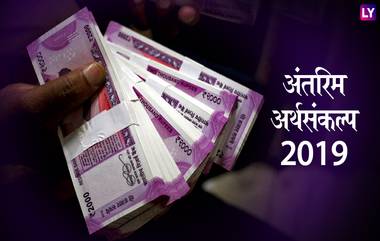 Budget 2019: 59 मिनिटांत 1 करोड रुपये कर्ज मिळणार, लघु उद्योगधंद्यातील व्यापाऱ्यांसाठी खास तरतूद