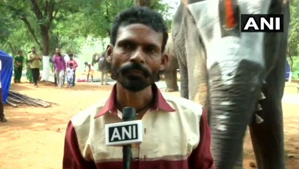 तमिळनाडू येथे हत्तीणीने Mouth Organ वाजूवन सर्वांना केले थक्क, पाहा व्हिडिओ तमिळनाडू येथे हत्तीणीने Mouth Organ वाजूवन सर्वांना केले थक्क, पाहा व्हिडिओ