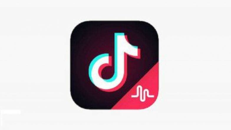 TikTok, UC Browser, Beauty Plus सारखी Apps वापरत असाल तर व्हा सावध; विकली जात आहे तुमची खासगी माहिती TikTok, UC Browser, Beauty Plus सारखी Apps वापरत असाल तर व्हा सावध; विकली जात आहे तुमची खासगी माहिती