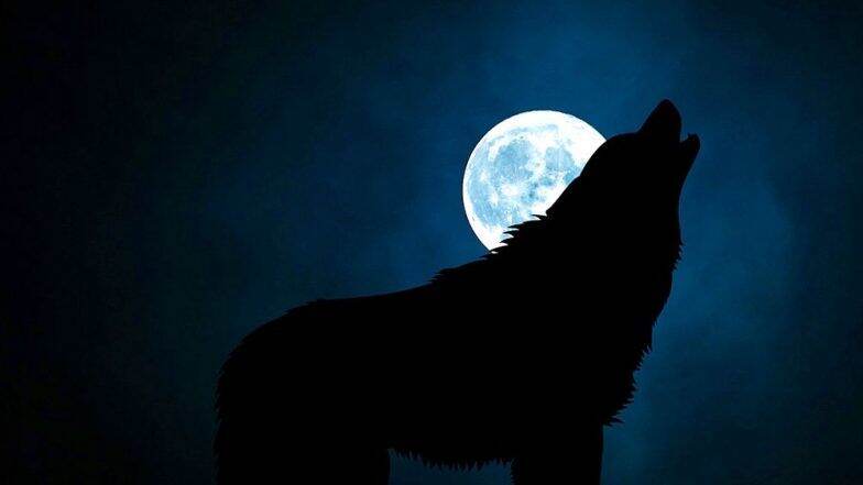 Super Blood Wolf Moon 2019: भारतामध्ये आज चंद्र ग्रहण दिसणार नाही पण सुपरमून कसा, कधी आणि कुठे पहाल? Super Blood Wolf Moon 2019: भारतामध्ये आज चंद्र ग्रहण दिसणार नाही पण सुपरमून कसा, कधी आणि कुठे पहाल?