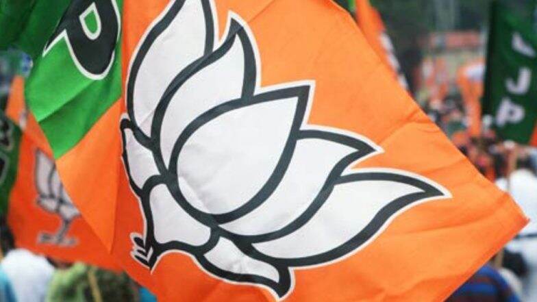 मायावती तृतीयपंथी, भाजप महिला आमदाराचे वादग्रस्त विधान मायावती तृतीयपंथी, भाजप महिला आमदाराचे वादग्रस्त विधान