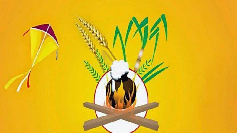 Makar Sankranti 2019 : जाणून घ्या यंदाची संक्रांत वेळ आणि महत्व Makar Sankranti 2019 : जाणून घ्या यंदाची संक्रांत वेळ आणि महत्व