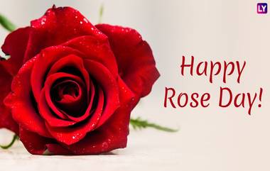 Happy Rose Day 2019: हॅपी रोझ डे' च्या शुभेच्छा देण्यासाठी खास मराठी Facebook, WhatsApp Status, SMS, Greetings