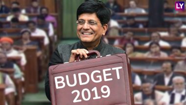 Budget 2019: मोदी सरकारच्या अर्थसंकल्पातील काही महत्वाच्या घोषणा; शेतकरी, नोकरदारांना दिलासा