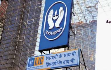 LIC चा Micro Bachat Insurance प्लॅन लॉन्च; जाणून घ्या काय आहे खासियत