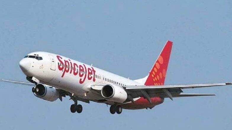 SpiceJet Mega Sale: 899 रुपयांत करा विमानप्रवास; असा मिळवा 25% अधिक डिस्काऊंट SpiceJet Mega Sale: 899 रुपयांत करा विमानप्रवास; असा मिळवा 25% अधिक डिस्काऊंट