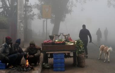 Cold Wave in Maharashtra: मुंबईत तापमानात घट; IMD ने दिला महाराष्ट्राच्या काही भागांसाठी थंड लाटेचा इशारा