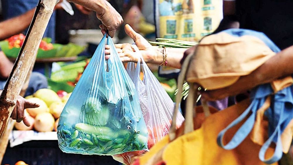 Plastic Ban in Mumbai: मुंबईत प्लास्टिक बंदीबाबत बीएमसी उचलणार कठोर पावले; 21 ऑगस्टपासून सुरु होणार कारवाई