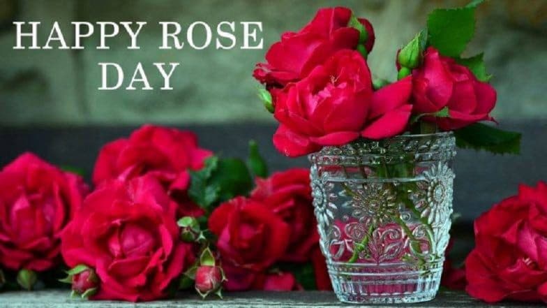 Happy Rose Day 2019: 'व्हेलेंटाईन वीक'ची सुरुवात Rose Day ने का होते? Happy Rose Day 2019: 'व्हेलेंटाईन वीक'ची सुरुवात Rose Day ने का होते?