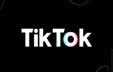 TikTok App यापुढे भारतात डाऊनलोड करता येणार, मद्रास हायकोर्टाने अ‍ॅपवरील बंदी हटवली