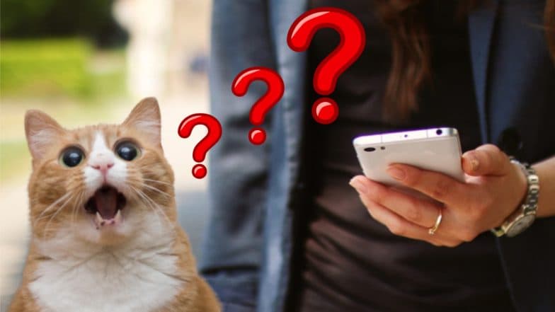 इतक्या स्वस्त दरात Mobile Data Pack जगात कुठेच नाही; जाणून घ्या ठिकाण, जिथे तुम्ही थांबला आहात! इतक्या स्वस्त दरात Mobile Data Pack जगात कुठेच नाही; जाणून घ्या ठिकाण, जिथे तुम्ही थांबला आहात!