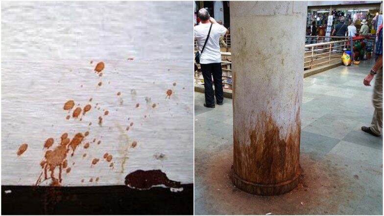 हिंगोली: तंबाखूची थुंकी अंगावर पडल्याने डोक्यात फावडा घालून तरुणाची हत्या हिंगोली: तंबाखूची थुंकी अंगावर पडल्याने डोक्यात फावडा घालून तरुणाची हत्या