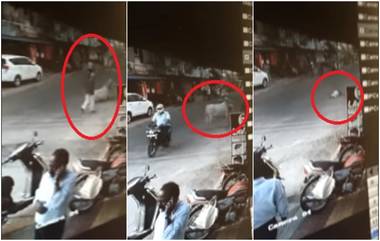 CCTV Footage Video: मोकाट वळूच्या धडकेत 79 वृद्ध जागीच ठार, पिंपरी चिंचवड येथील घटना