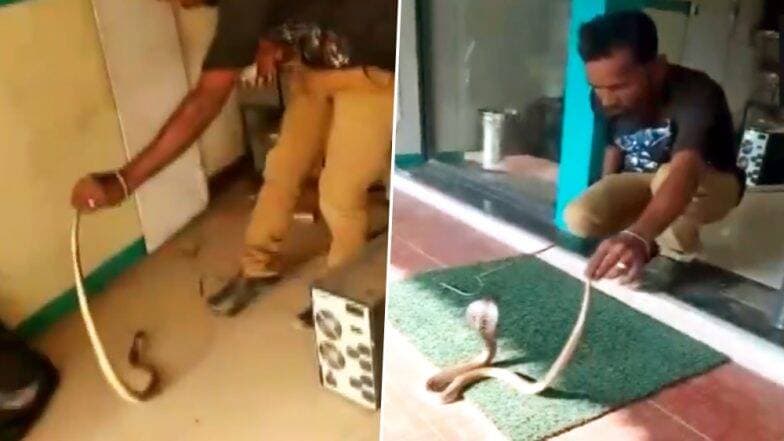 तामिळनाडू: कोयंबटूर येथील एटीएम मध्ये सापडला साप; अशी केली सुटका (Watch Video) तामिळनाडू: कोयंबटूर येथील एटीएम मध्ये सापडला साप; अशी केली सुटका (Watch Video)