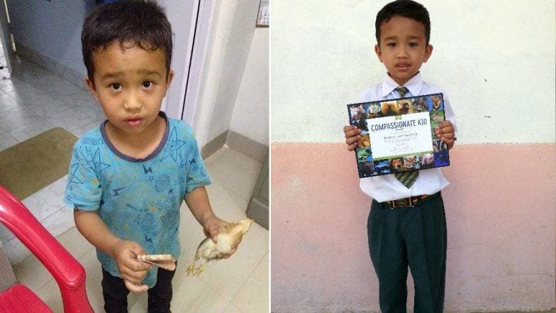 Mizoram: लहानग्याने वाचवले कोंबडीच्या पिल्लाचे प्राण, पेटा इंडिया तर्फे भारतातील दयाळू बालकाचा मिळाला सन्मान Mizoram: लहानग्याने वाचवले कोंबडीच्या पिल्लाचे प्राण, पेटा इंडिया तर्फे भारतातील दयाळू बालकाचा मिळाला सन्मान