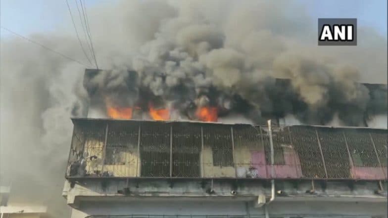 Bhiwandi Fire: भिवंडी येथील काल्हेर परिसरातील इमारतीला भीषण आग; अग्निशामक दलाच्या गाड्या घटनास्थळी रवाना Bhiwandi Fire: भिवंडी येथील काल्हेर परिसरातील इमारतीला भीषण आग; अग्निशामक दलाच्या गाड्या घटनास्थळी रवाना