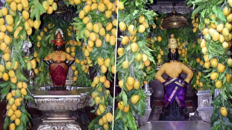 11,000 आंब्यांच्या आरासामध्ये सजला पंढरपूरचा विठूराया