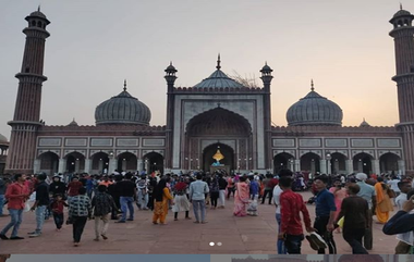 Tik Tok पुन्हा वादात,  जामा मशिदीत डान्स व्हिडीओ बनवल्याने यापुढे केवळ प्रार्थनेसाठीच मिळणार प्रवेश