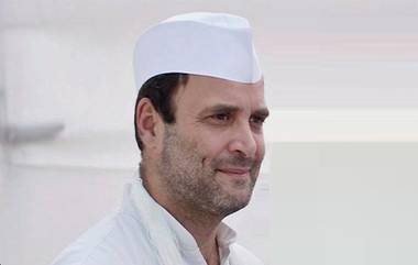 राहुल गांधी याचा राजीनामा देण्याचा निश्चय कायम, काँग्रेस अध्यक्ष पदासाठी 'या' मंडळींची नावं चर्चेत