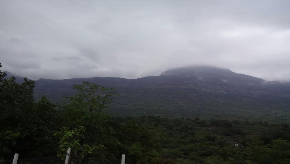 Maharashtra Monsoon Forecast Update 2019: मुंबई, ठाणे, पालघर रायगड येथे पुढील 48 तासांत मुसळधार पावसाची शक्यता Maharashtra Monsoon Forecast Update 2019: मुंबई, ठाणे, पालघर रायगड येथे पुढील 48 तासांत मुसळधार पावसाची शक्यता