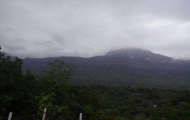 Maharashtra Monsoon Forecast Update 2019: मुंबई, ठाणे, पालघर रायगड येथे पुढील 48 तासांत मुसळधार पावसाची शक्यता