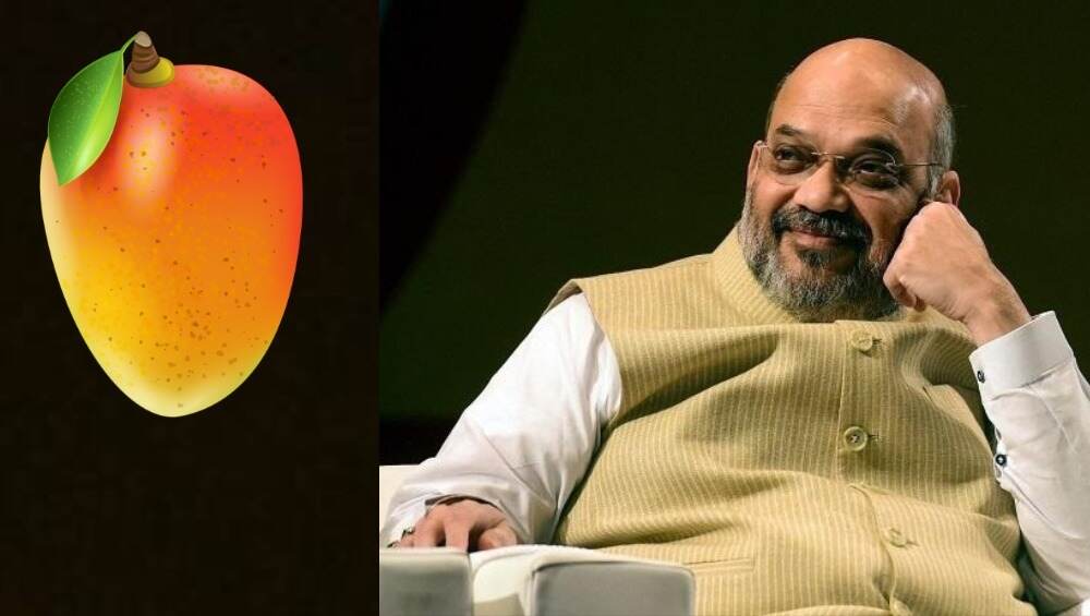 मोदी आंबा नंतर आता शाह आंबा; मँगो मॅन हाजी कलीमुल्लाह यांनी ठेवले आंब्याच्या नव्या प्रजातीचे नाव मोदी आंबा नंतर आता शाह आंबा; मँगो मॅन हाजी कलीमुल्लाह यांनी ठेवले आंब्याच्या नव्या प्रजातीचे नाव