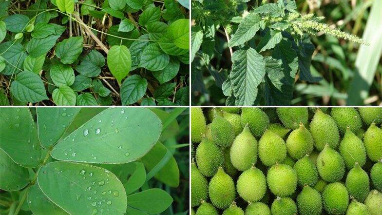 हरियाणाचे मुख्यमंत्री मनोहरलाल खट्टर यांनी सेल्फी घेणाऱ्या युवकाला धक्का देत राग केला व्यक्त (Watch Video) हरियाणाचे मुख्यमंत्री मनोहरलाल खट्टर यांनी सेल्फी घेणाऱ्या युवकाला धक्का देत राग केला व्यक्त (Watch Video)