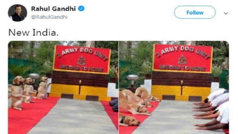 लष्करी जवानांच्या योगदिनाच्या 'त्या' फोटोवरील ट्विट नंतर राहुल गांधी सोशल मीडियात ट्रोल लष्करी जवानांच्या योगदिनाच्या 'त्या' फोटोवरील ट्विट नंतर राहुल गांधी सोशल मीडियात ट्रोल