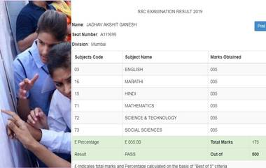 मुंबई : मीरा रोड येथील अक्षित जाधव ची महाराष्ट्र बोर्ड  SSC Result 2019 मध्ये अनोखी कामगिरी; सार्‍या विषयात 35% गुणांसह पास होणारा एकमेव विद्यार्थी