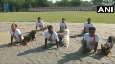 International Yoga Day 2019: जम्मू मध्ये BSF च्या श्वानपथकातील कुत्र्यांनी चक्क प्रशिक्षकांकडून घेतले योगसाधनेचे धडे; पहा त्यांचा Super Cute Video