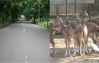 आरे वसाहतीत सुरु होणार नवी 'राणीची बाग'