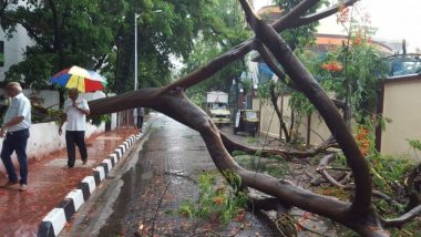 मुंबई: मालाड येथे रस्त्यावरील झाड अंगावर कोसळल्याने एका व्यक्तीचा मृत्यू