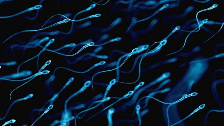 Mens Lifestyle: अशी सुधारा प्रजनन क्षमता, Sperm Count वाढवण्यासाठी करा हे सोपे उपाय