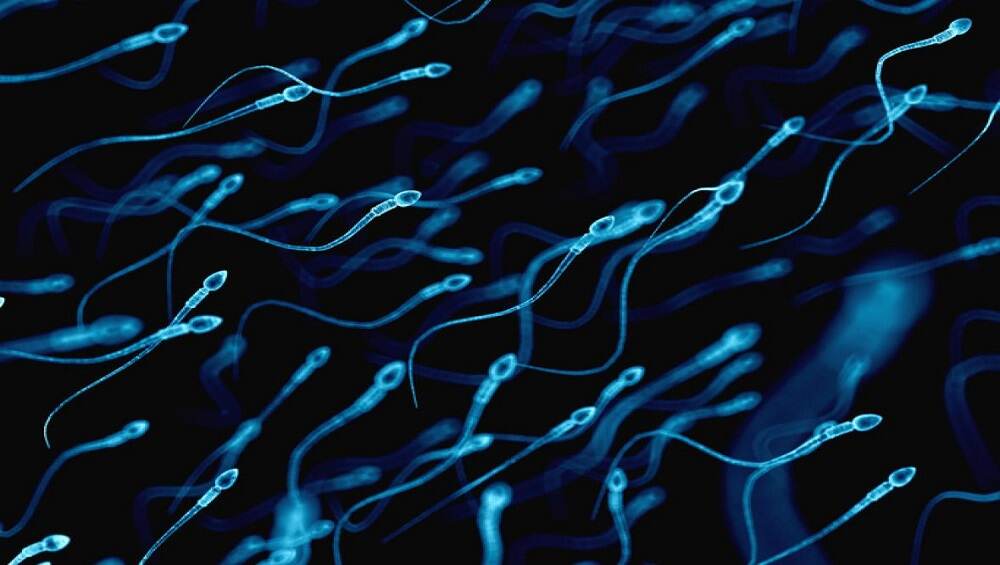 Mens Lifestyle: अशी सुधारा प्रजनन क्षमता, Sperm Count वाढवण्यासाठी करा हे सोपे उपाय Mens Lifestyle: अशी सुधारा प्रजनन क्षमता, Sperm Count वाढवण्यासाठी करा हे सोपे उपाय