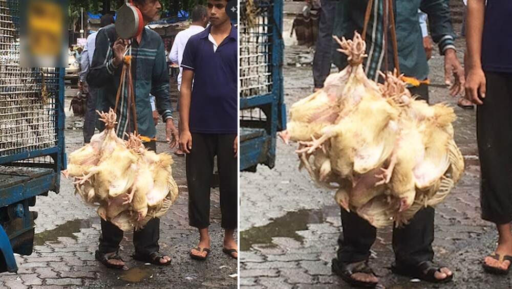 Gatari Amavasya 2019: गटारीच्या निमित्त 250 टन चिकनवर ताव मारण्याचा पुणेकरांचा बेत Gatari Amavasya 2019: गटारीच्या निमित्त 250 टन चिकनवर ताव मारण्याचा पुणेकरांचा बेत