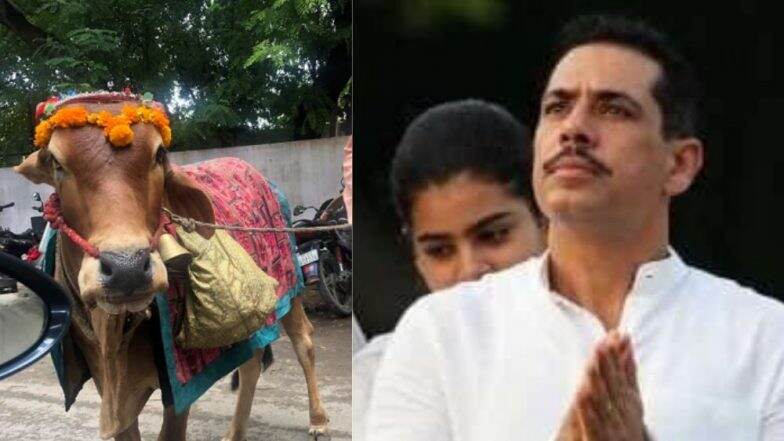 रॉबर्ट वाड्रा यांची रस्त्यात घडली भविष्य सांगणाऱ्या गाईशी भेट, फेसबुक पोस्टद्वारा शेअर केला 'हा' अनुभव (Watch Video) रॉबर्ट वाड्रा यांची रस्त्यात घडली भविष्य सांगणाऱ्या गाईशी भेट, फेसबुक पोस्टद्वारा शेअर केला 'हा' अनुभव (Watch Video)