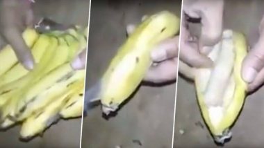 केळ्यांमधून कैद्यांना पैसे पुरवले जातात? व्हिडिओ पाहून तुम्ही चक्रवाल (Video)