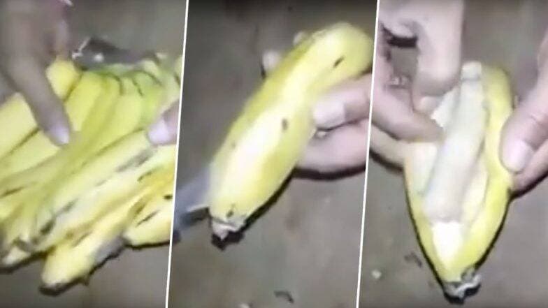 केळ्यांमधून कैद्यांना पैसे पुरवले जातात? व्हिडिओ पाहून तुम्ही चक्रवाल (Video) केळ्यांमधून कैद्यांना पैसे पुरवले जातात? व्हिडिओ पाहून तुम्ही चक्रवाल (Video)