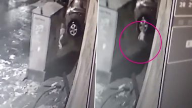 मुंबई: गोरेगांव येथे तीन वर्षांचा मुलगा गटरात पडला; शोधकार्य सुरु (Video)
