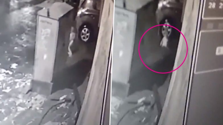 मुंबई: गोरेगाव येथे 3 वर्षीय चिमुरडा नाल्यात पडल्यानंतर रास्तारोको करत स्थानिकांनी व्यक्त केला संताप