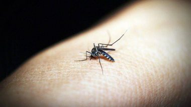 मुंबई मध्ये Dadar, Matunga, Mahim, Sion रेल्वे स्थानकाजवळ बीएमसी ला आढळले 21 Mosquito Breeding Spots